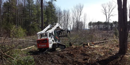 Forestry Mulching, Excavation Company, Brush Clearing, Land Clearing, Free Estimate
