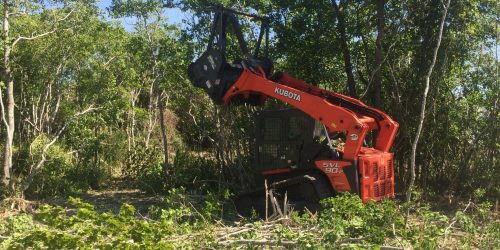 Forestry Mulching, Excavation Company, Brush Clearing, Land Clearing, Free Estimate